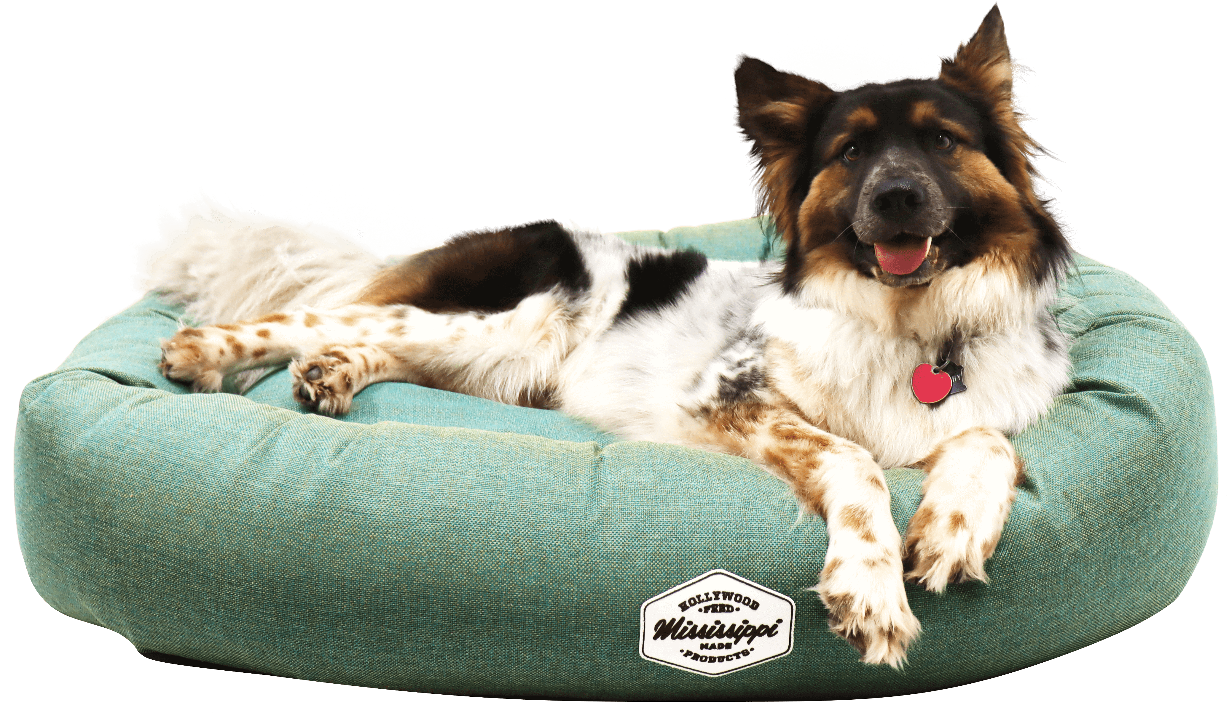 Dog laying in hollywood feed mississippi made donut bed - solid green