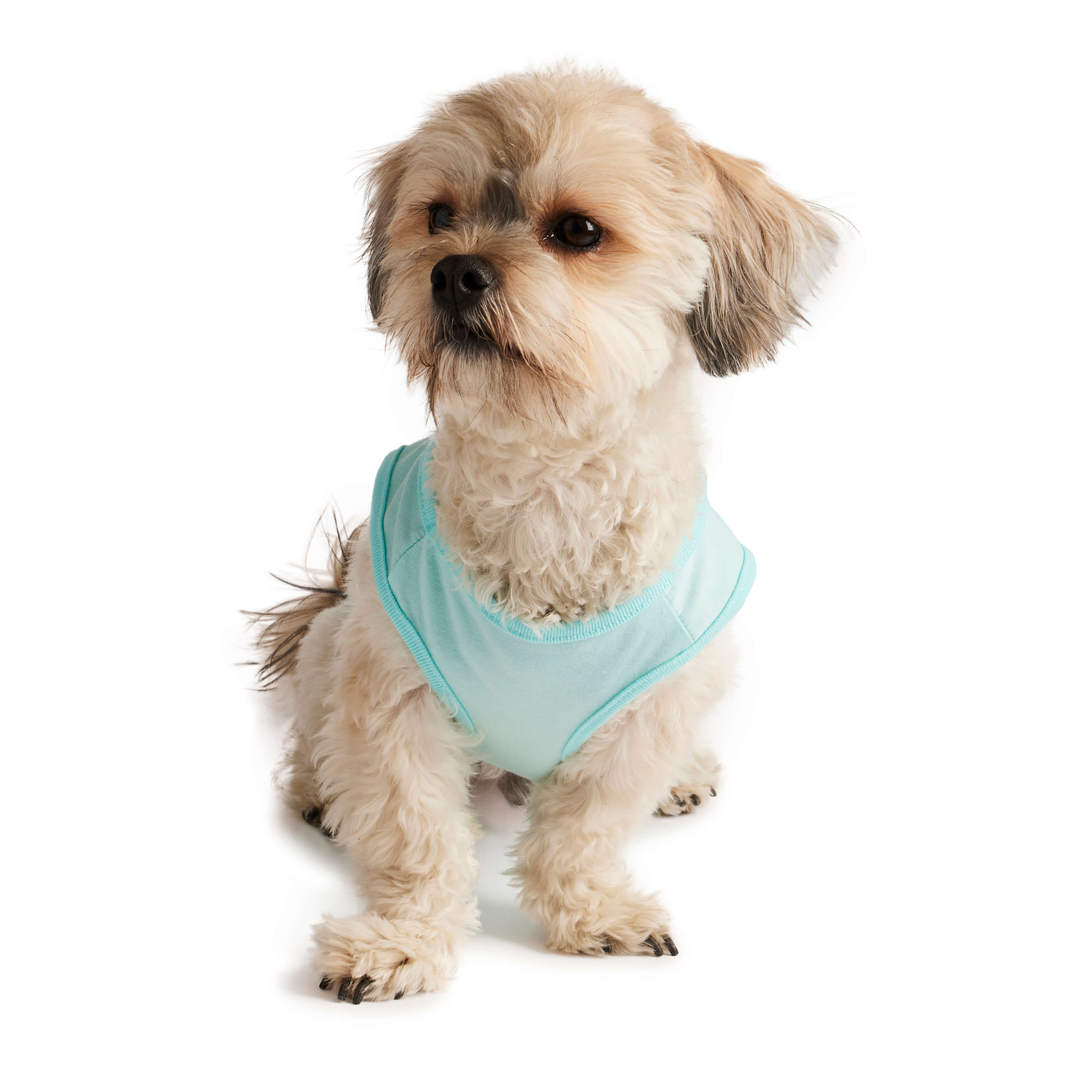 hotel doggy thread collective dog tank top birthday pup blue
