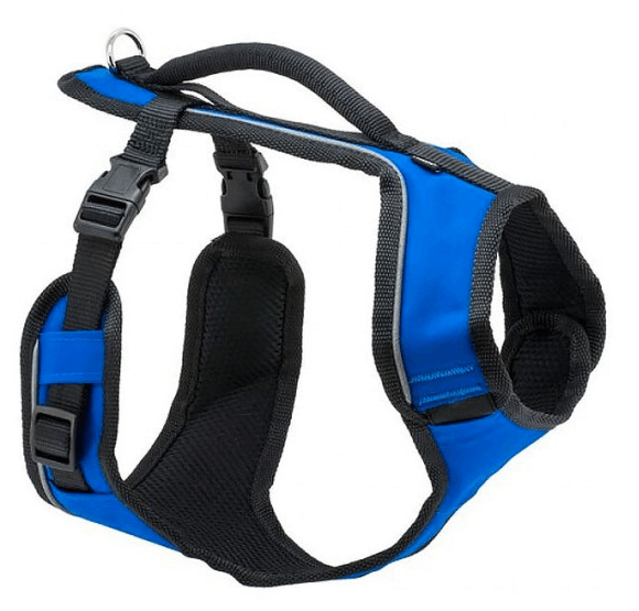 Petsafe easyport harness - blue