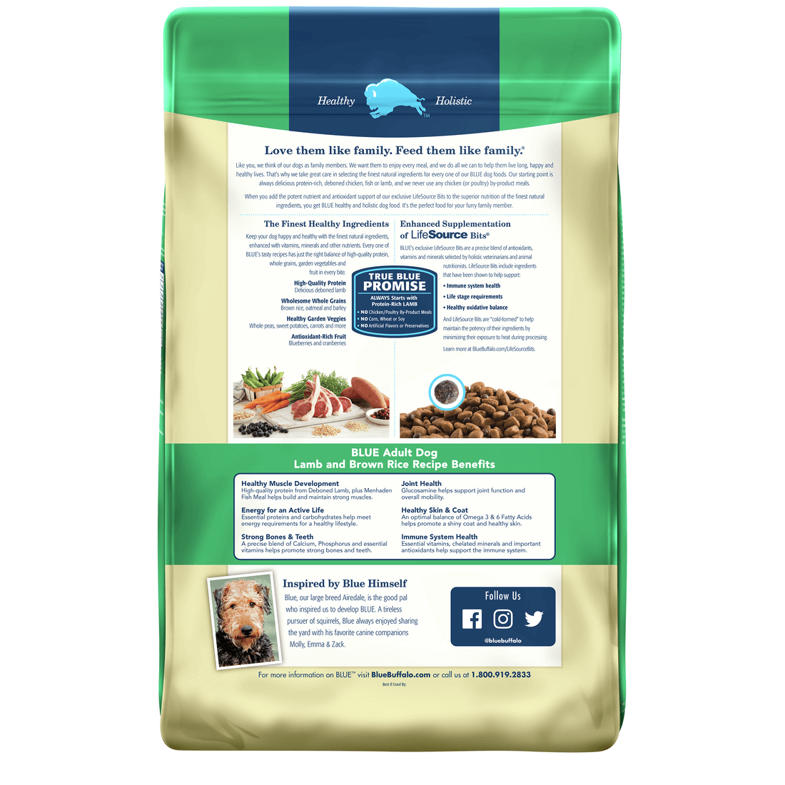 Back view of Blue Buffalo Dog Food - Adult Lamb & Brown Rice 15lbs