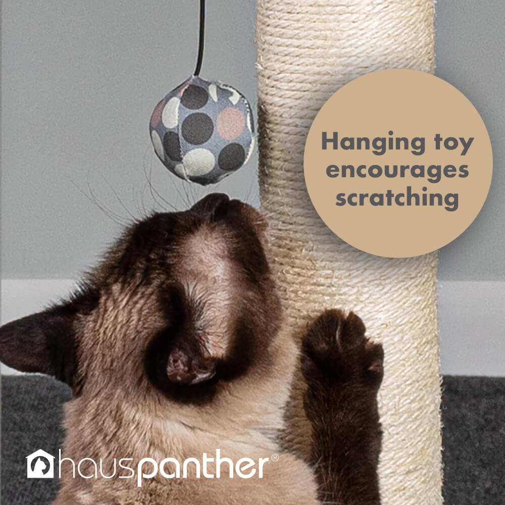 Cat playing with hanging toy on hauspanther cat scratcher - adjustable scratch pole
