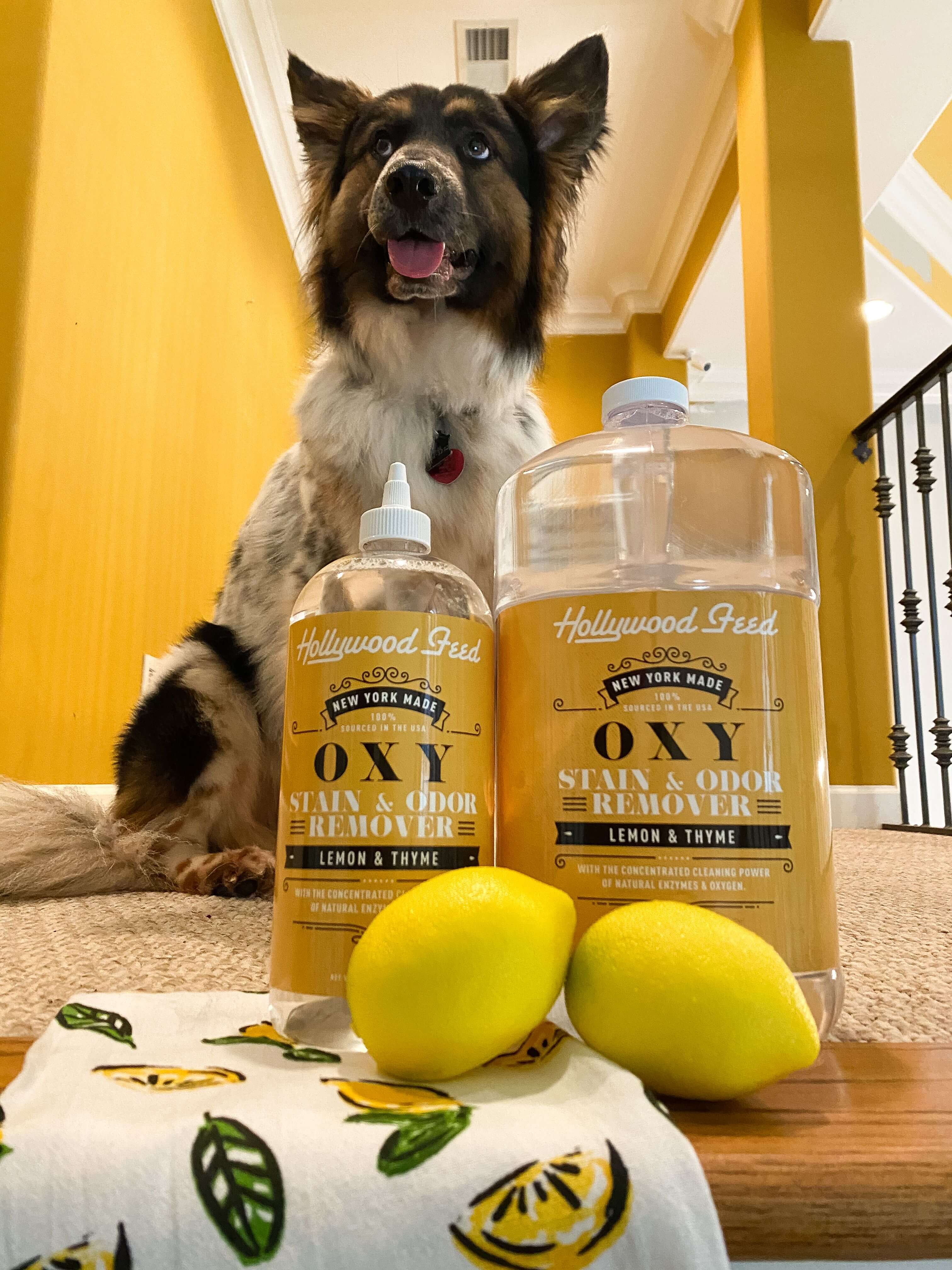Hollywood Feed New York Made stain and odor remover lemon and thyme oxy floor cleaner