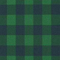 Mississippi Made Green Check Pattern