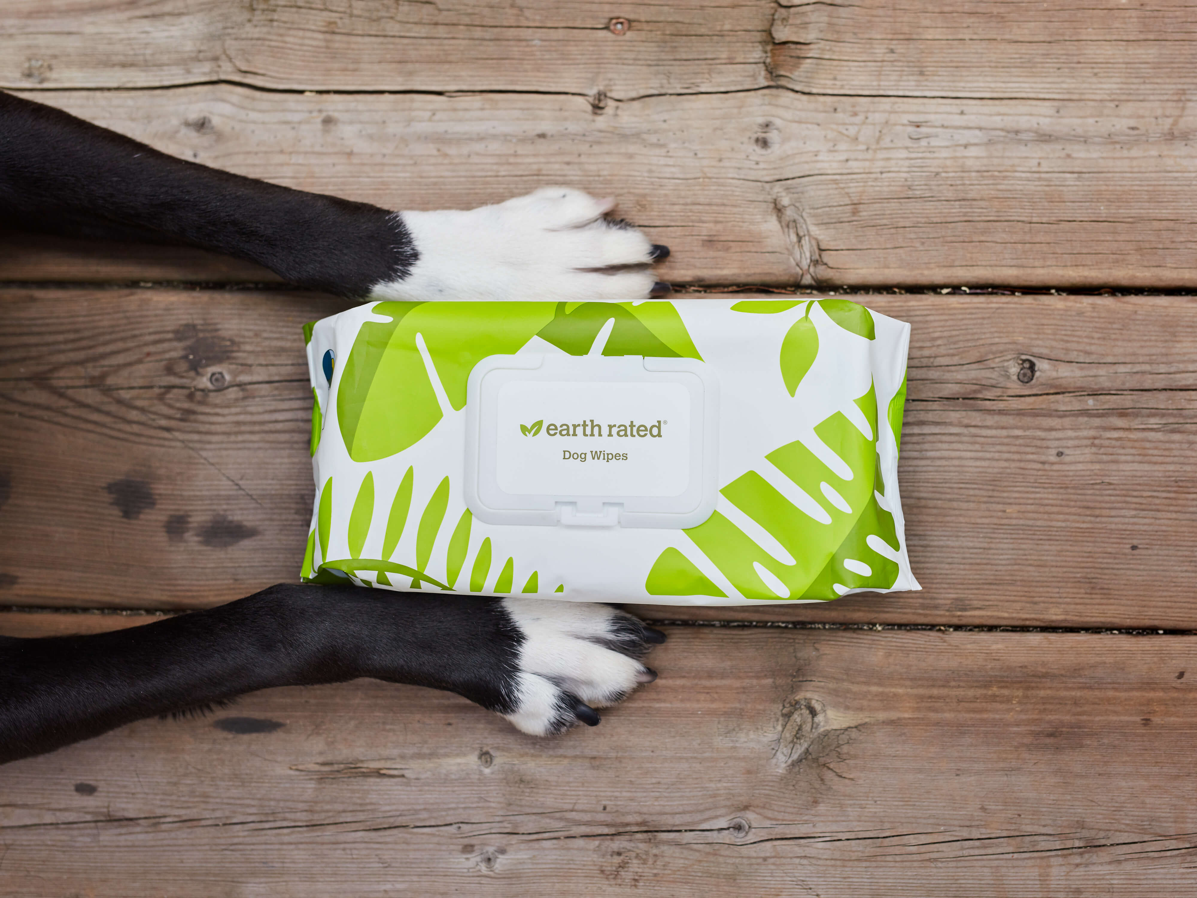 Dog paws holding earth rated compostable dog grooming wipes - unscented
