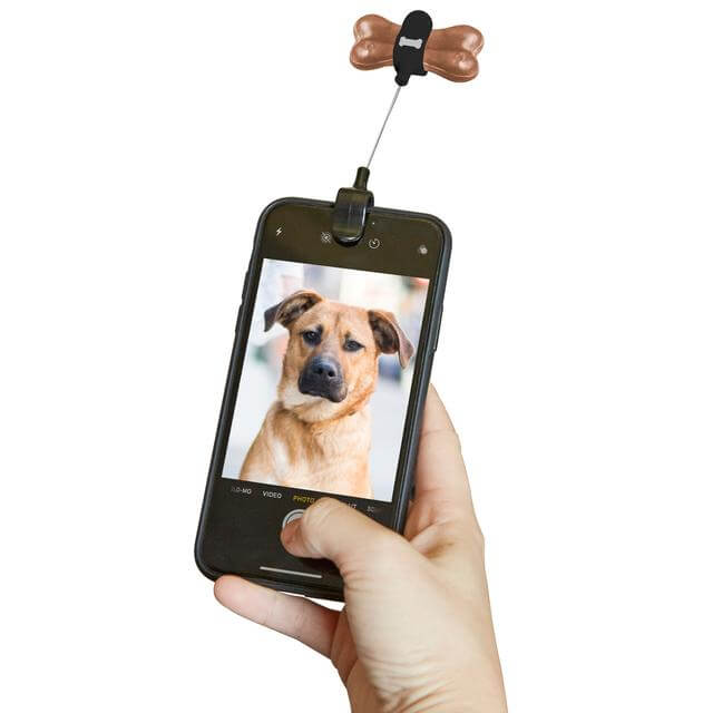 Dog treat phone clip attached to a phone