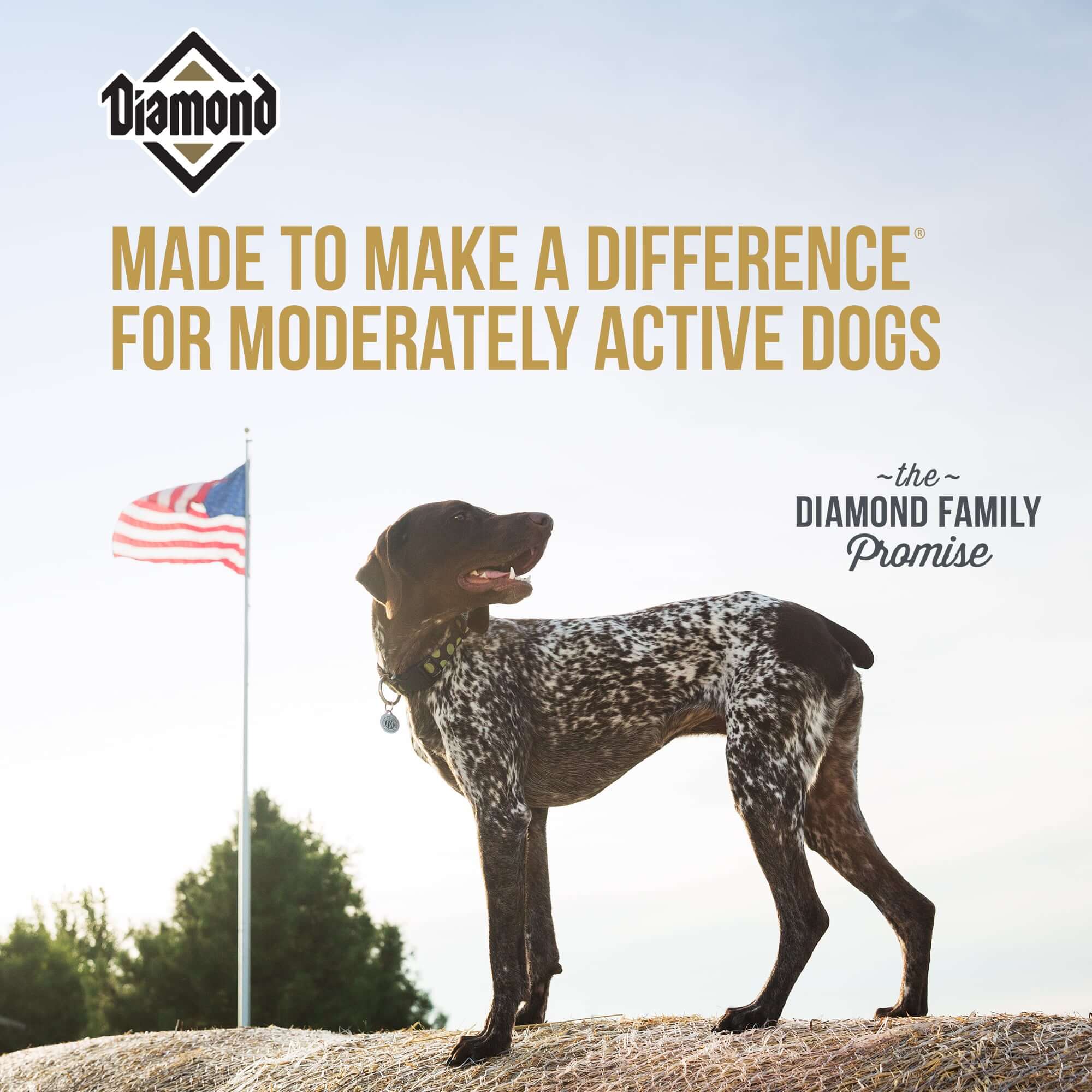 Made to make a difference for moderately active dogs