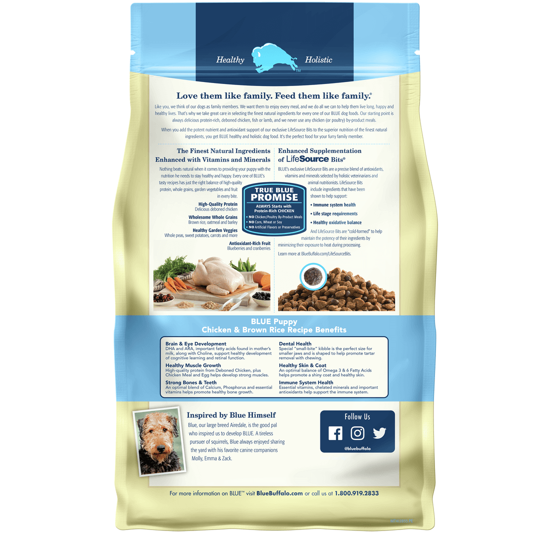 Back view of Blue Buffalo Dog Food - Puppy Chicken & Brown Rice 5lbs