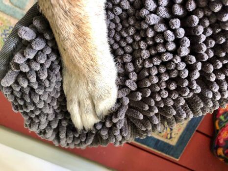 Person cleaning off dog's paws with clean paws drying mitt