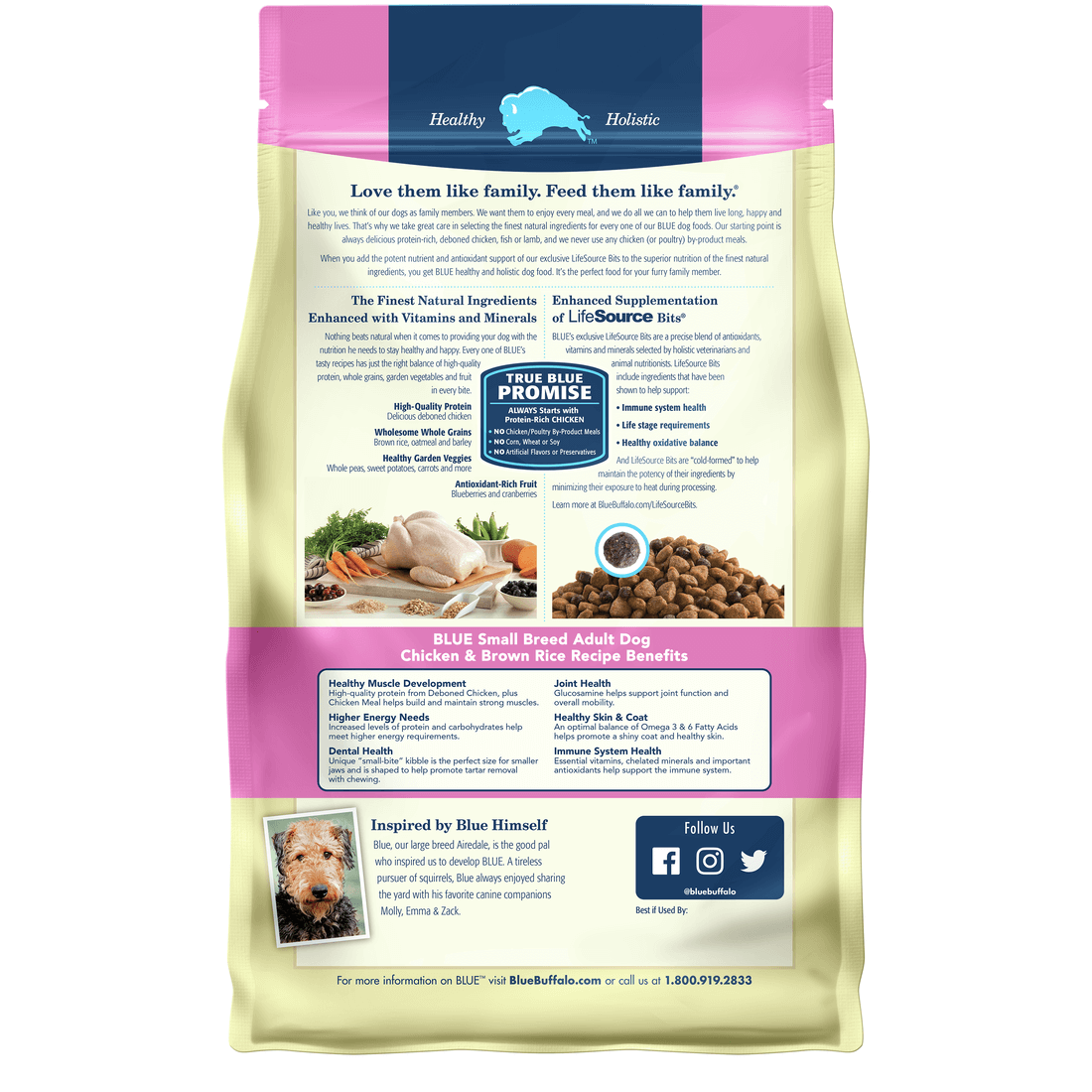 Back view of Blue Buffalo Dog Food - Small Breed Adult Chicken & Brown Rice - 5lbs