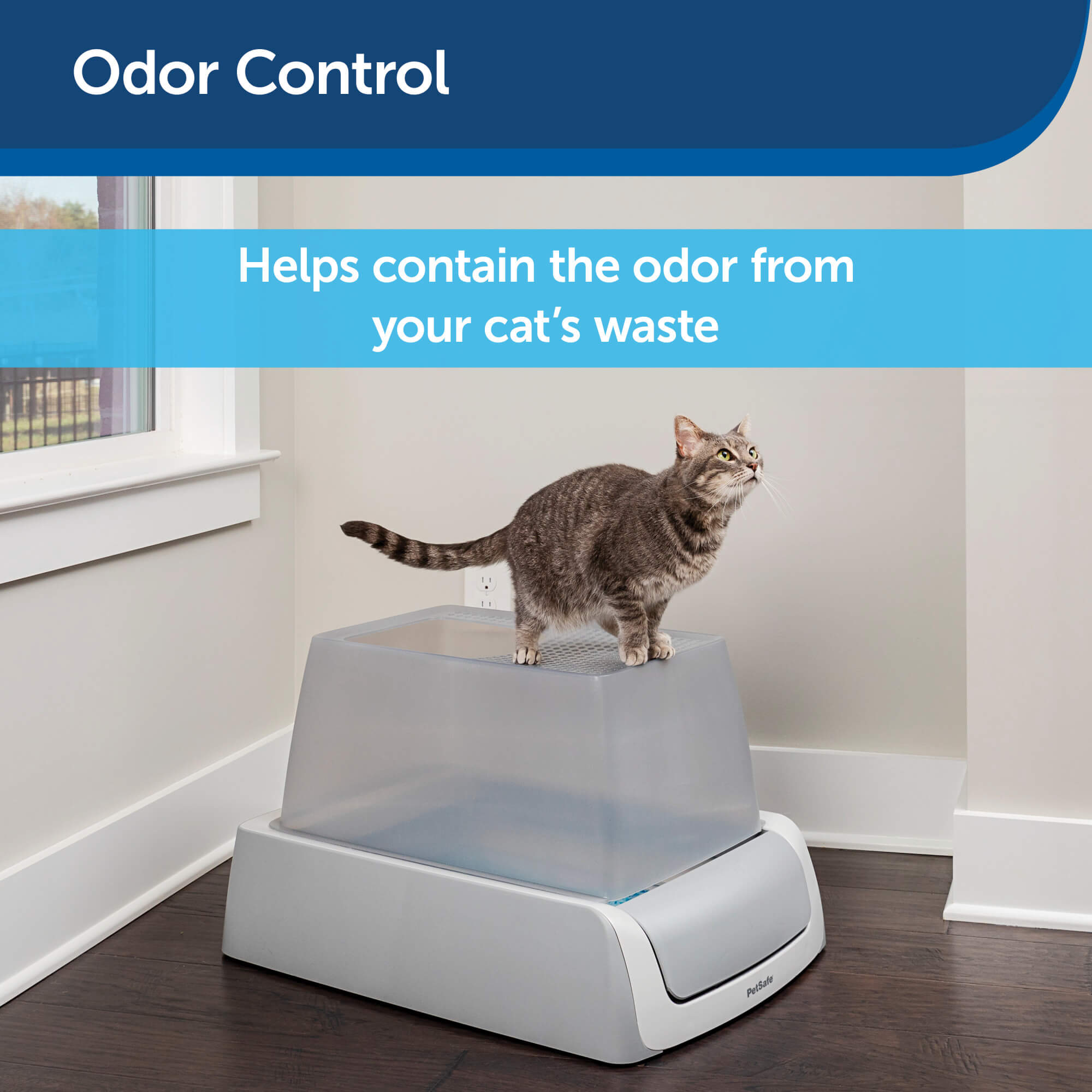 odor control help contain cat odor cat on top of litter box