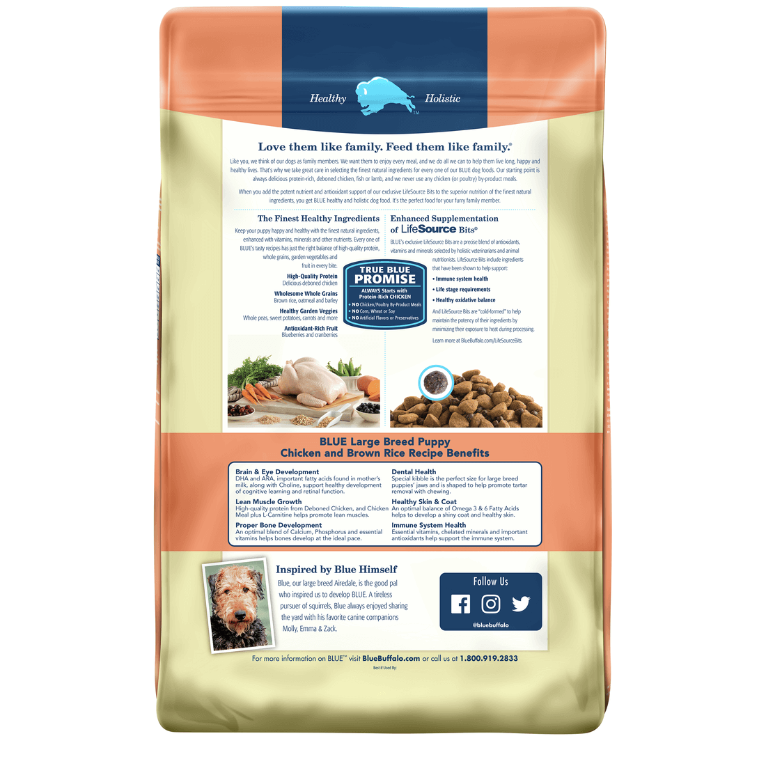 Back view of Blue Buffalo Dog Food - Large Breed Puppy Chicken & Brown Rice 30lbs
