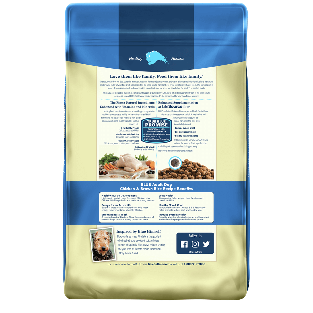 Back view of Blue Buffalo Dog Food - Adult Chicken & Brown Rice 15lbs