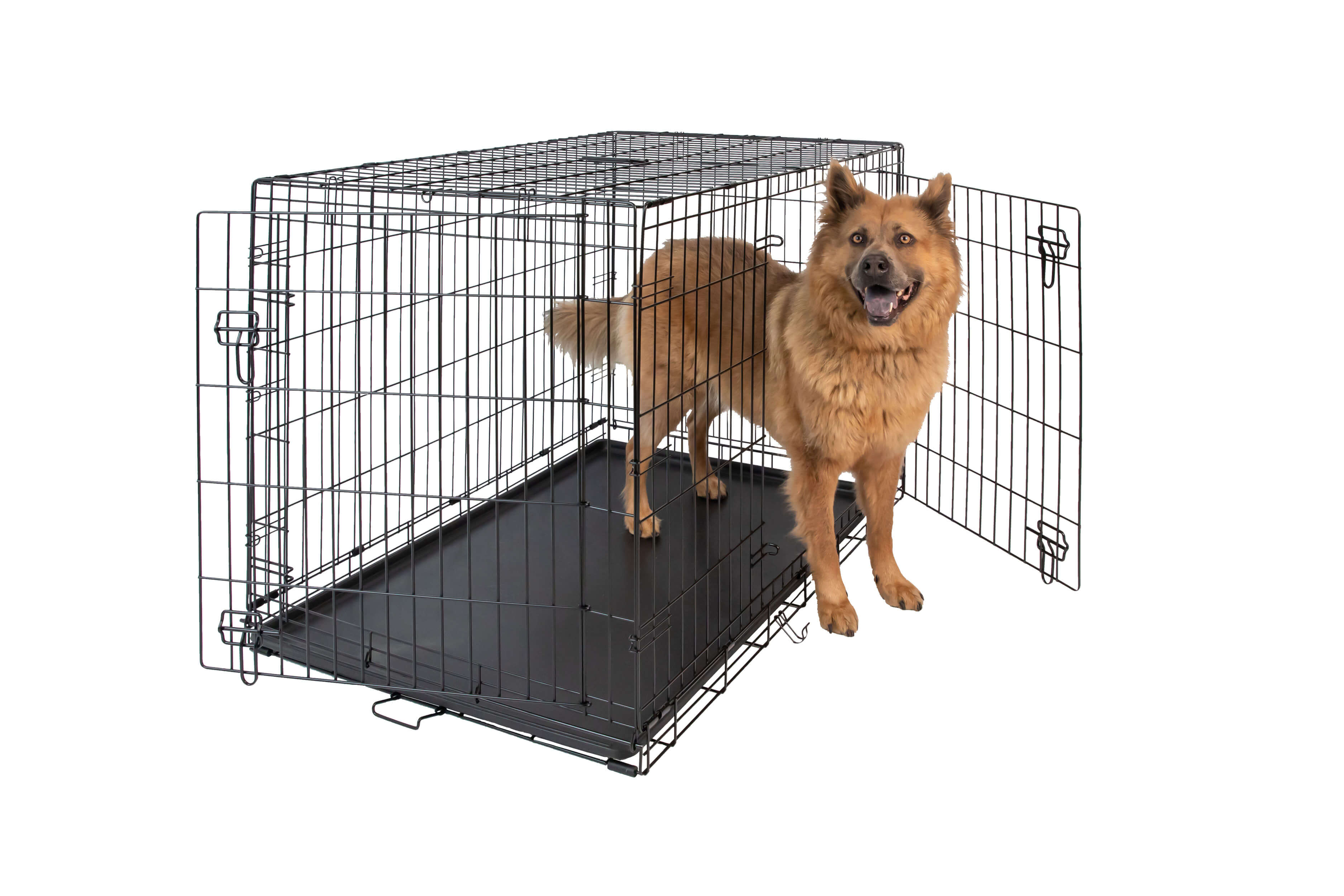 Dog Crate