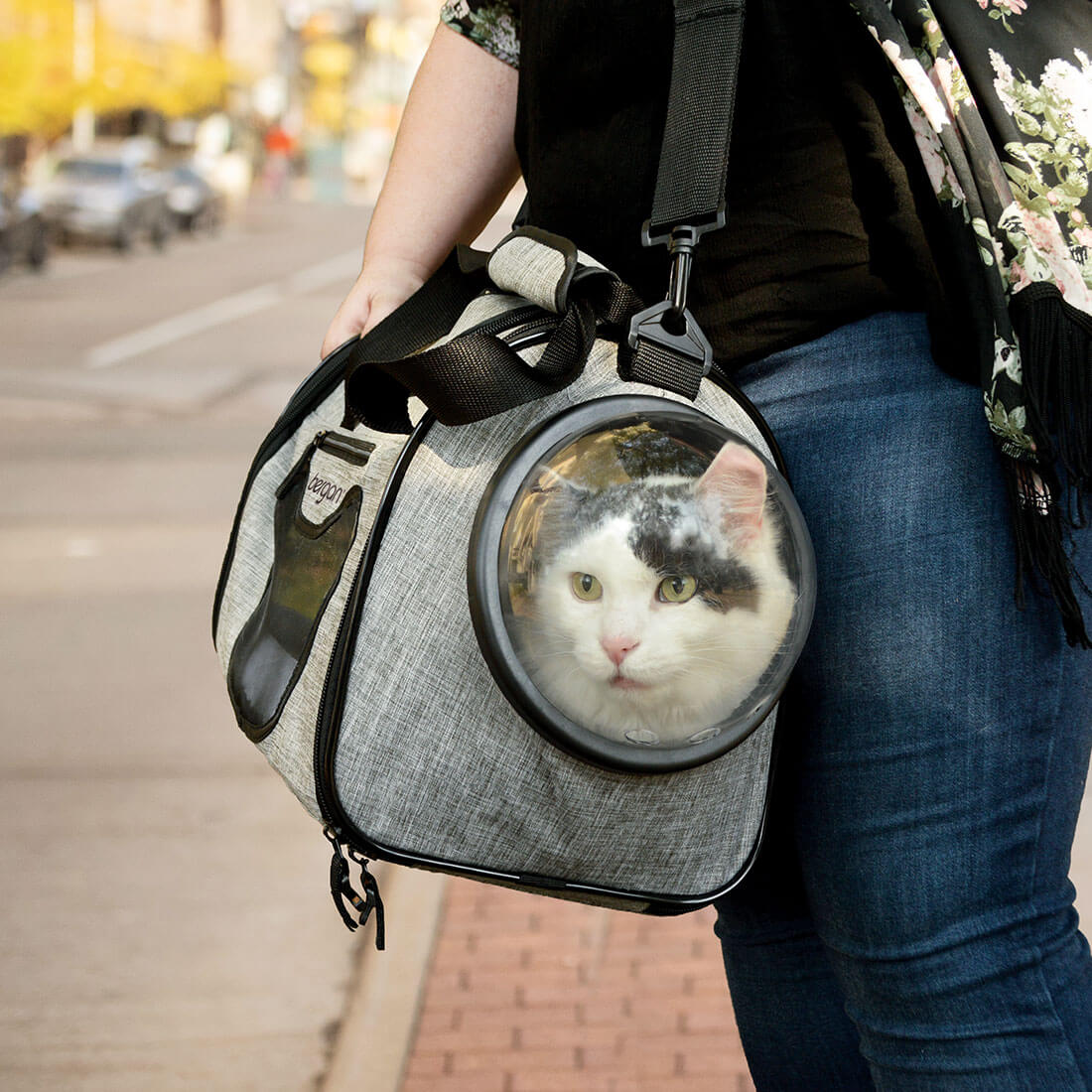 Woman carry cat in Bergan Panoramic Cat Carrier - Grey