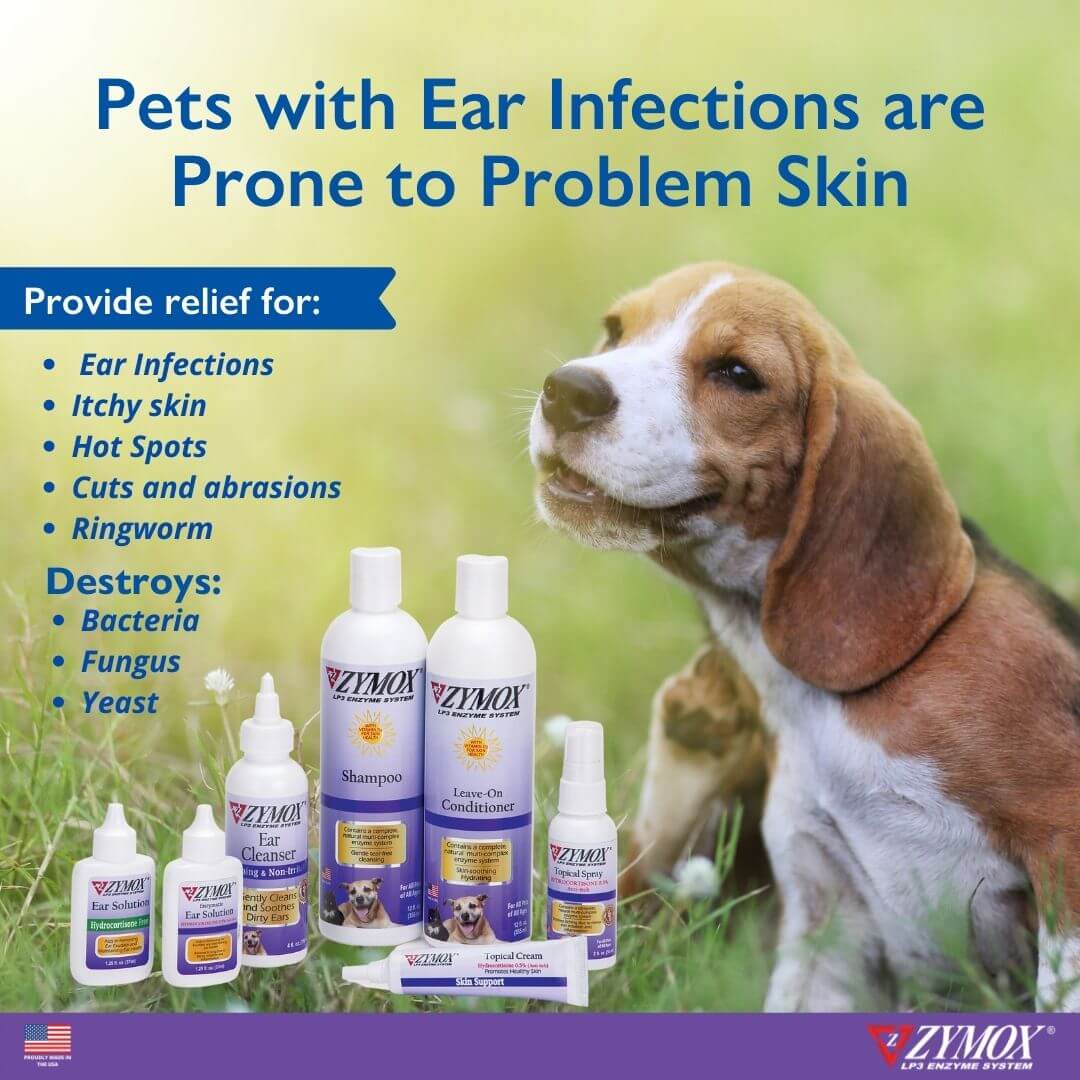 ZYMOX Ear Cleanser Pets with ear infections are prone to problem skin