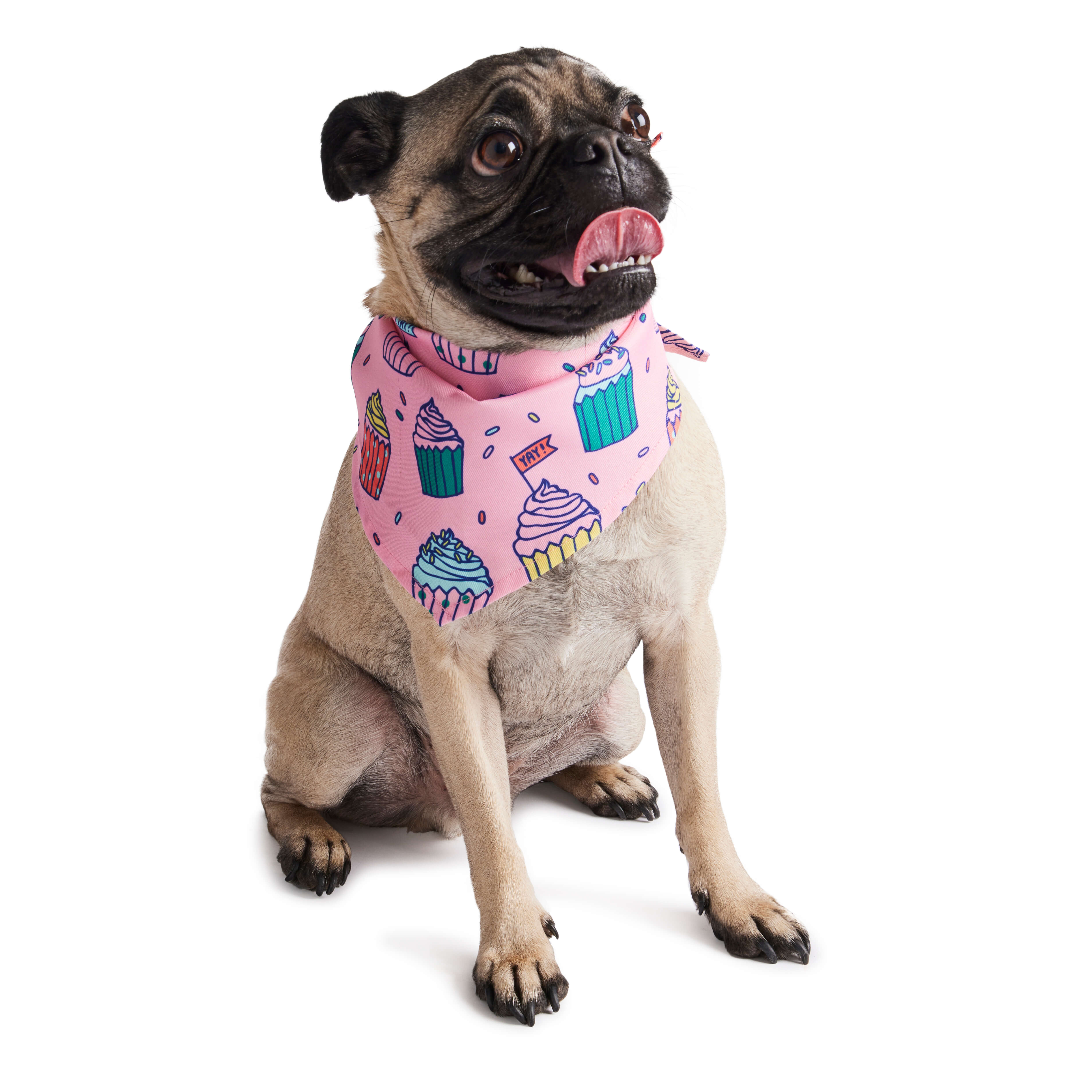 HOtel Doggy pink bandana dog 