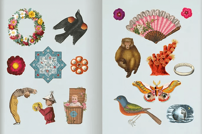 The Antiquarian Sticker Book: Bibliophilia [Book]