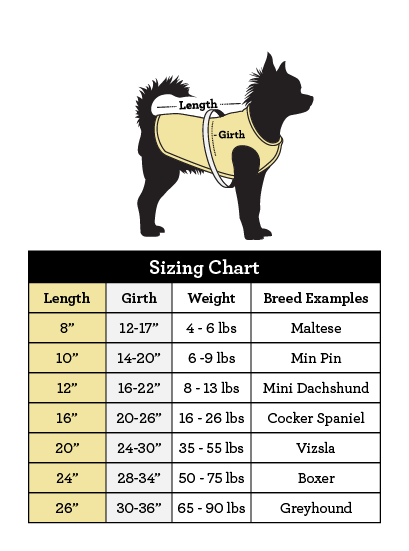 Hollywood Feed pet sweater sizing chart 