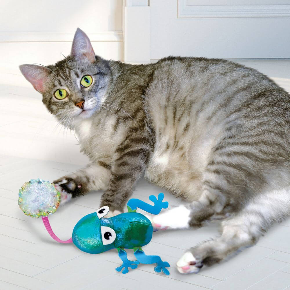Cat playing with flingaroo frog