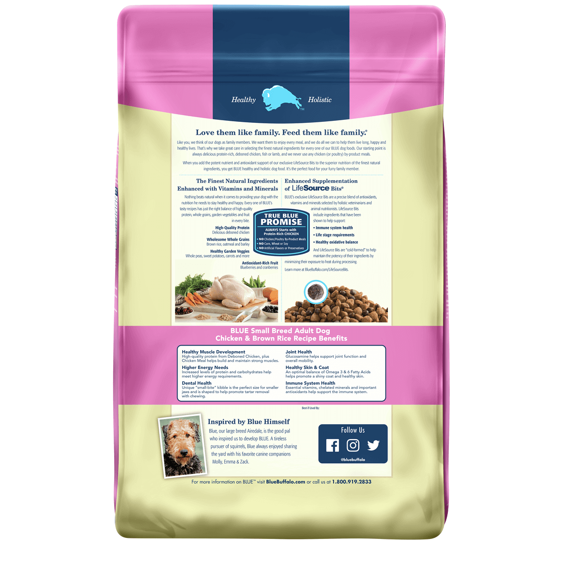 Back view of Blue Buffalo Dog Food - Small Breed Adult Chicken & Brown Rice