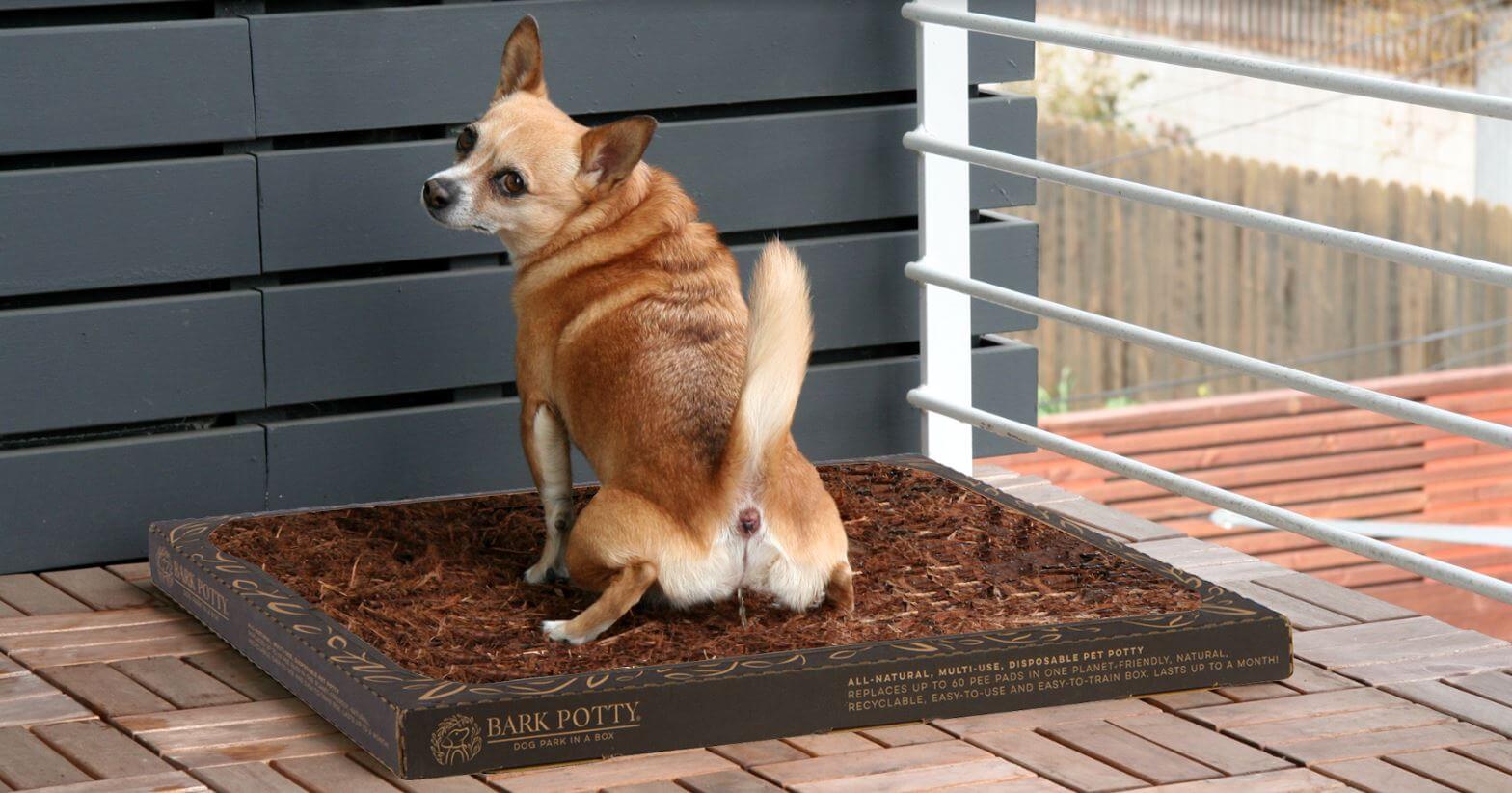 Bark Potty disposable dog training pad