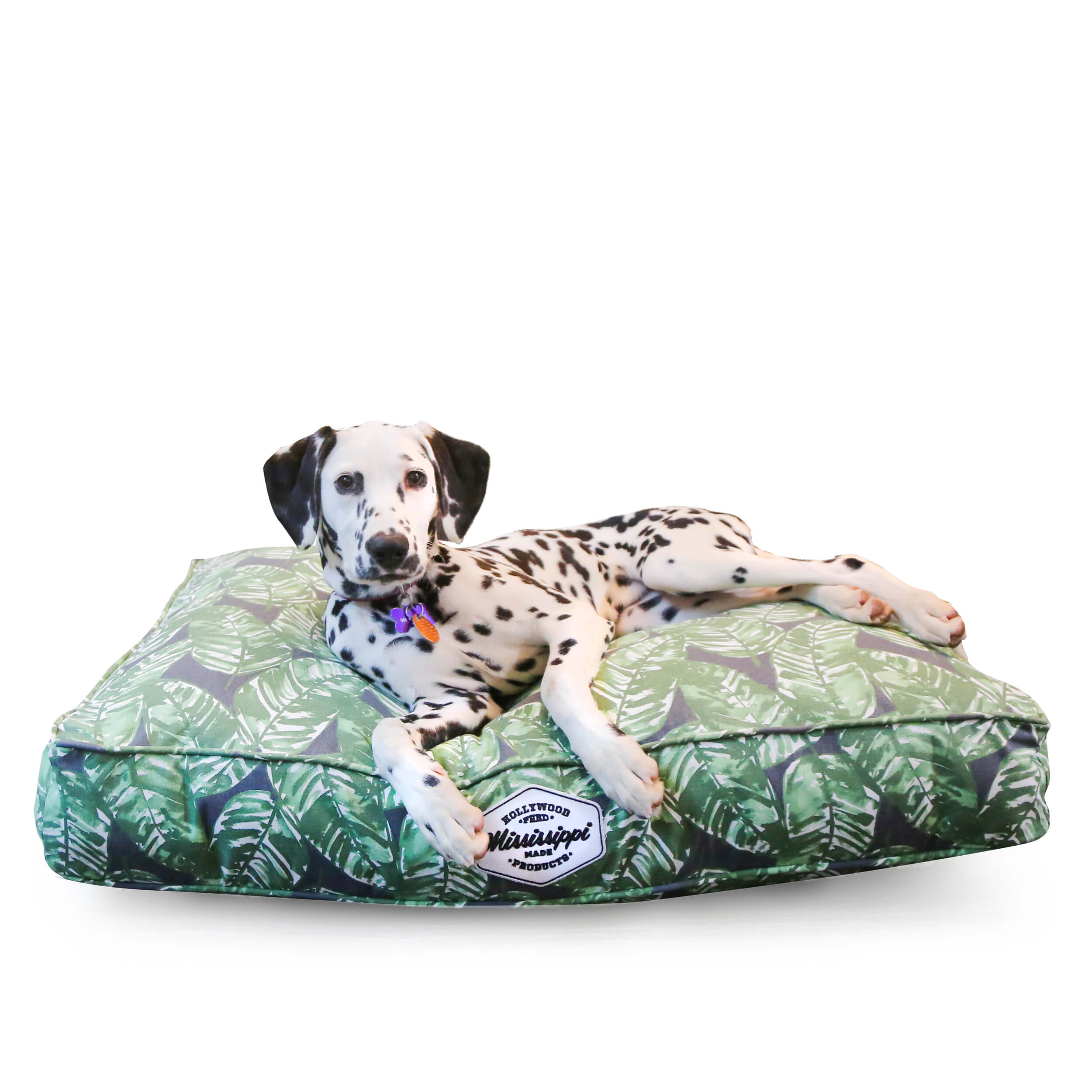 front view of tropical rectangle dog bed with dog on it