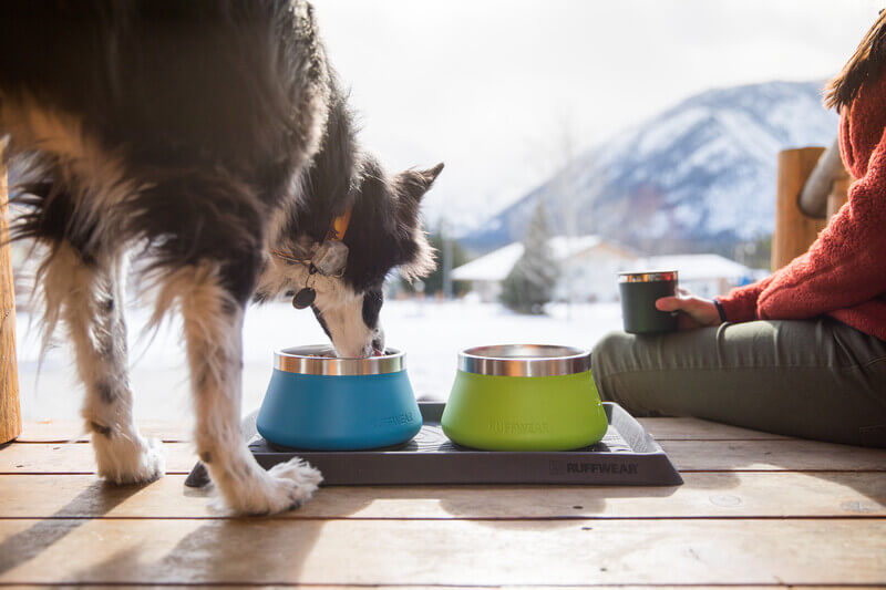 Dog drinking out of bowls sitting on ruffwear basecamp mat