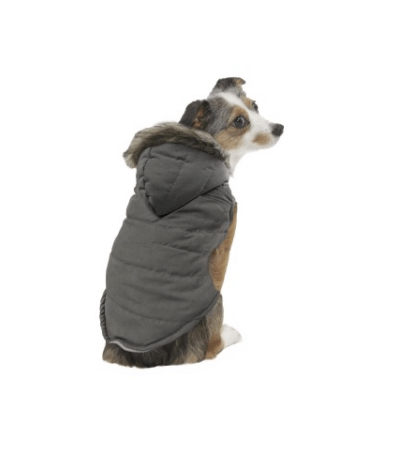 Dog posing in fashion pet dog jacket - velvety puffer coat - gray