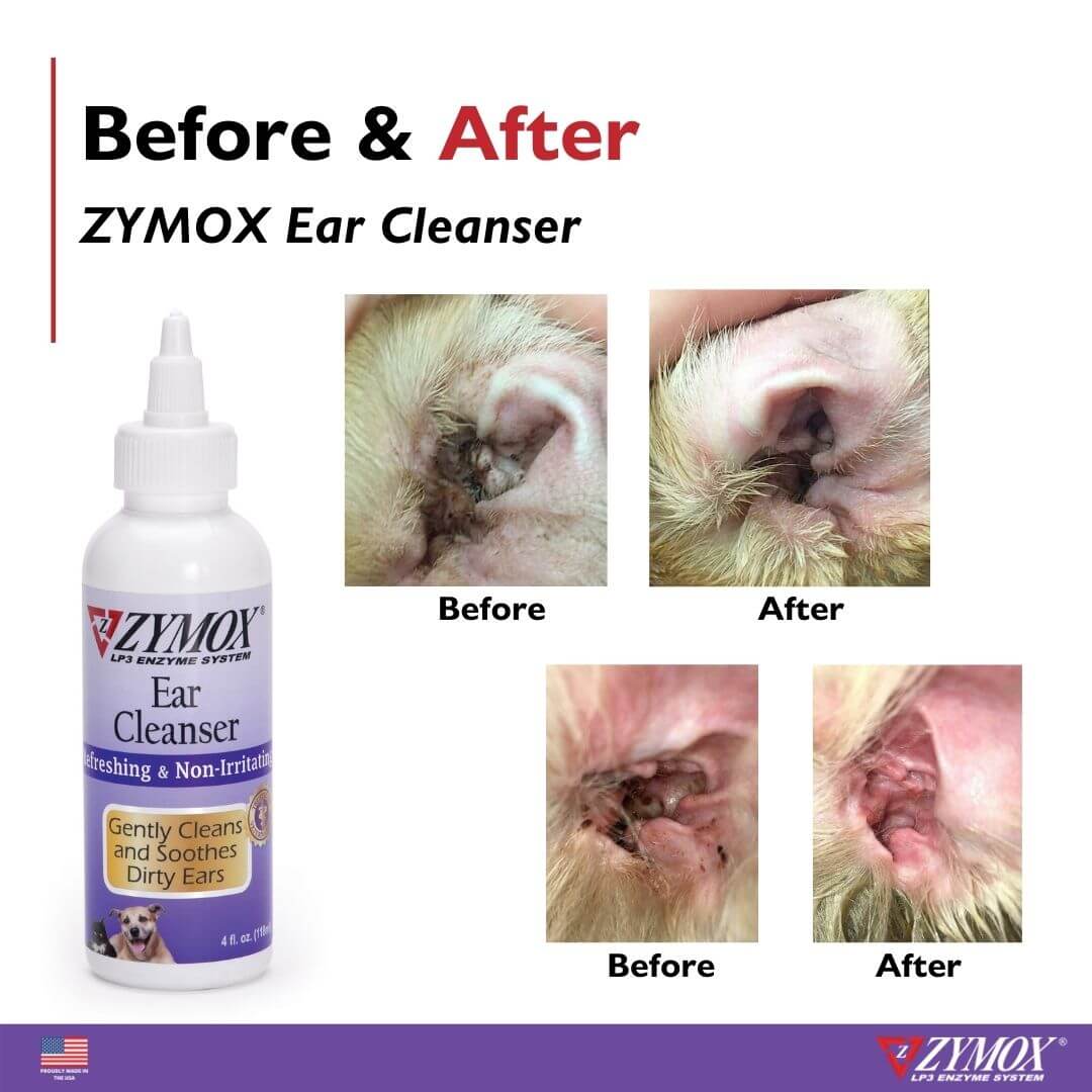 ZYMOX Ear Cleanser Before & after