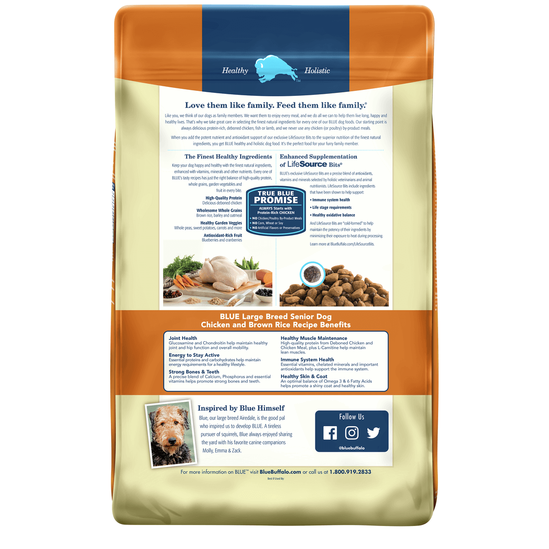 Back view of Blue Buffalo Dog Food - Large Breed Senior Chicken & Brown Rice 30lbs