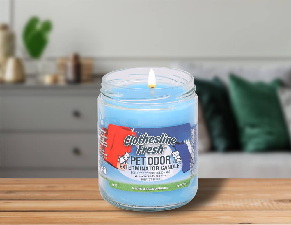 Specialty Pet scented candle Clothesline fresh on desk