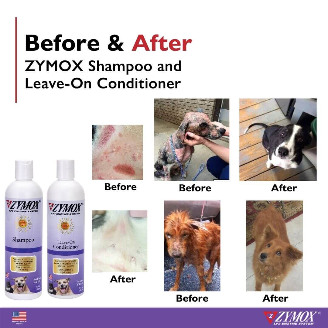 ZYMOX Pet Shampoo Before & after