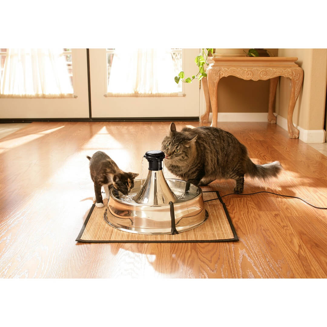 Two cats drinking from drinkwell stainless steel pet fountain on floor