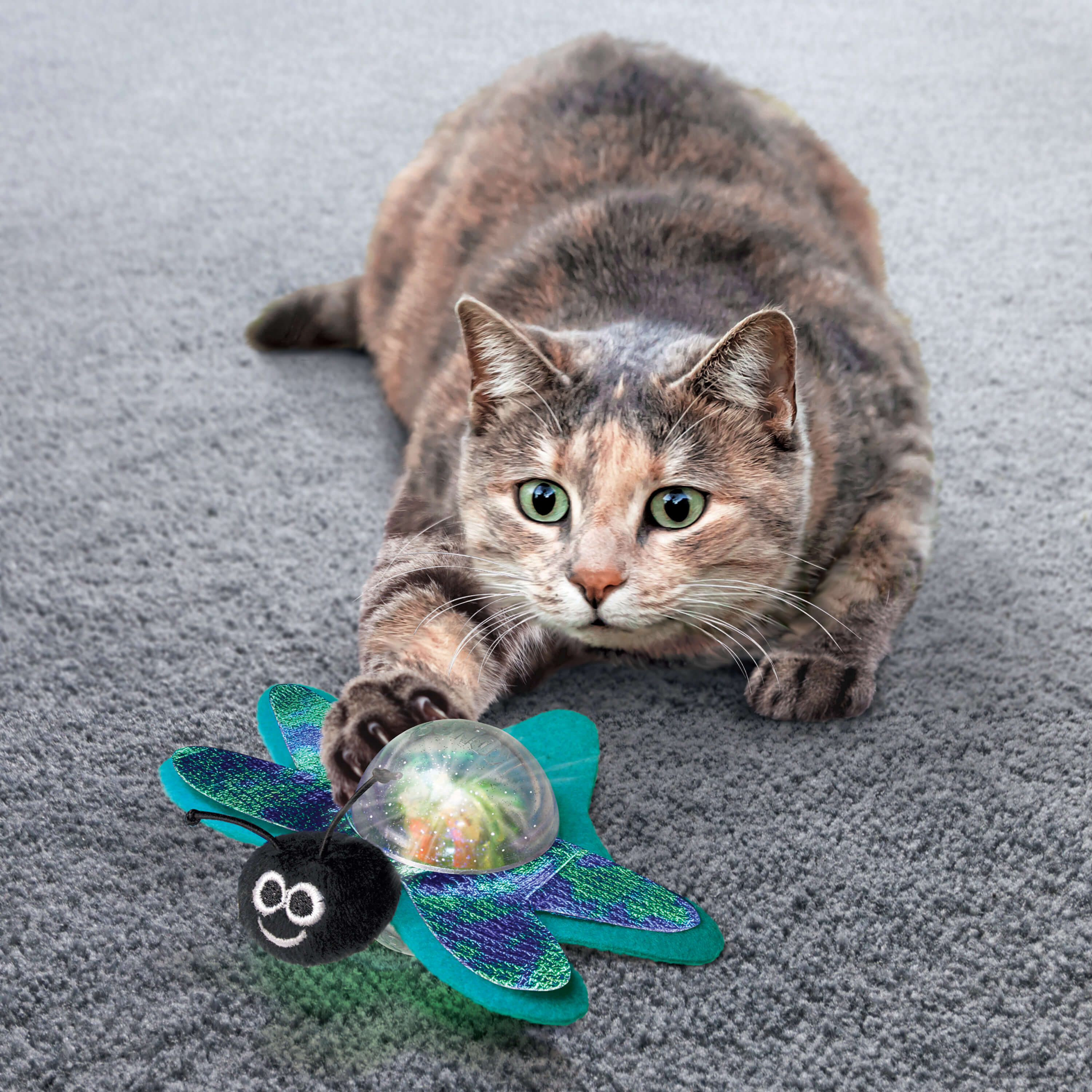 Cat playing with kong bat-a-bout flicker firefly