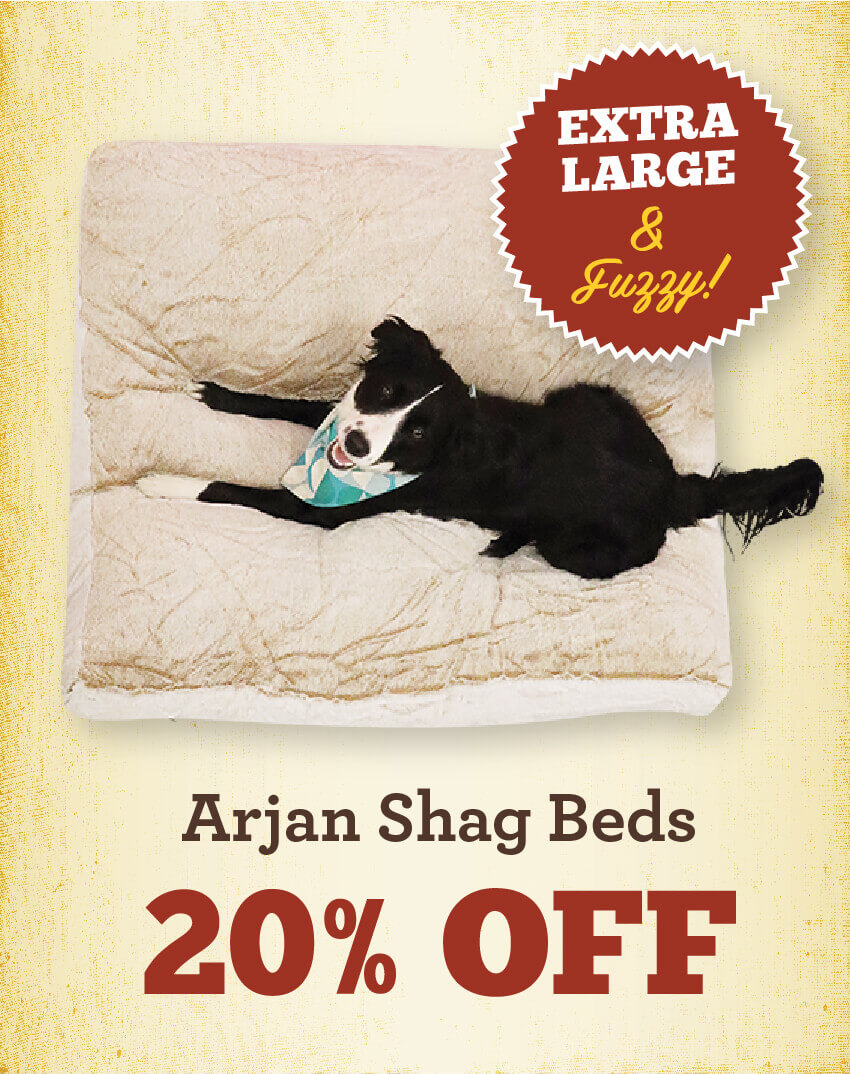 20% Off Arjan Shag Beds