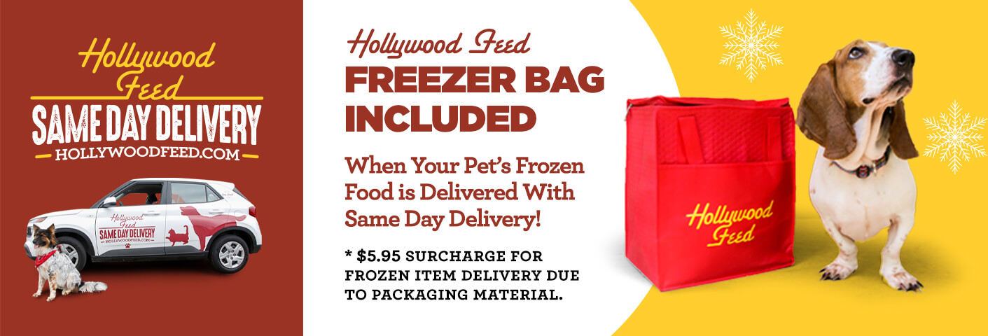 dog with red Hollywood Feed freezer bag and dog with same day delivery car. Hollywood Feed delivers Frozen Raw pet food with same day delivery in a freezer bag with an ice pack for $5.95 