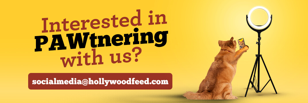 Interested in PAWtnering with us? Email at socialmedia@hollywoodfeed.com