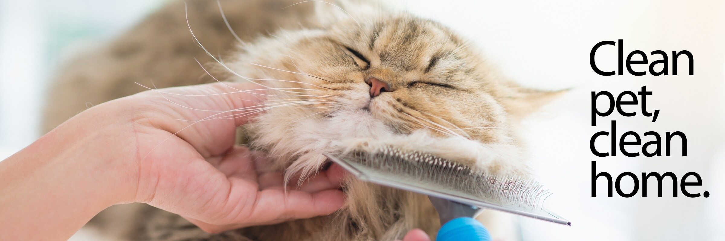 Clean Pet Clean Home Woman brushing Persian cat to remove loose hair