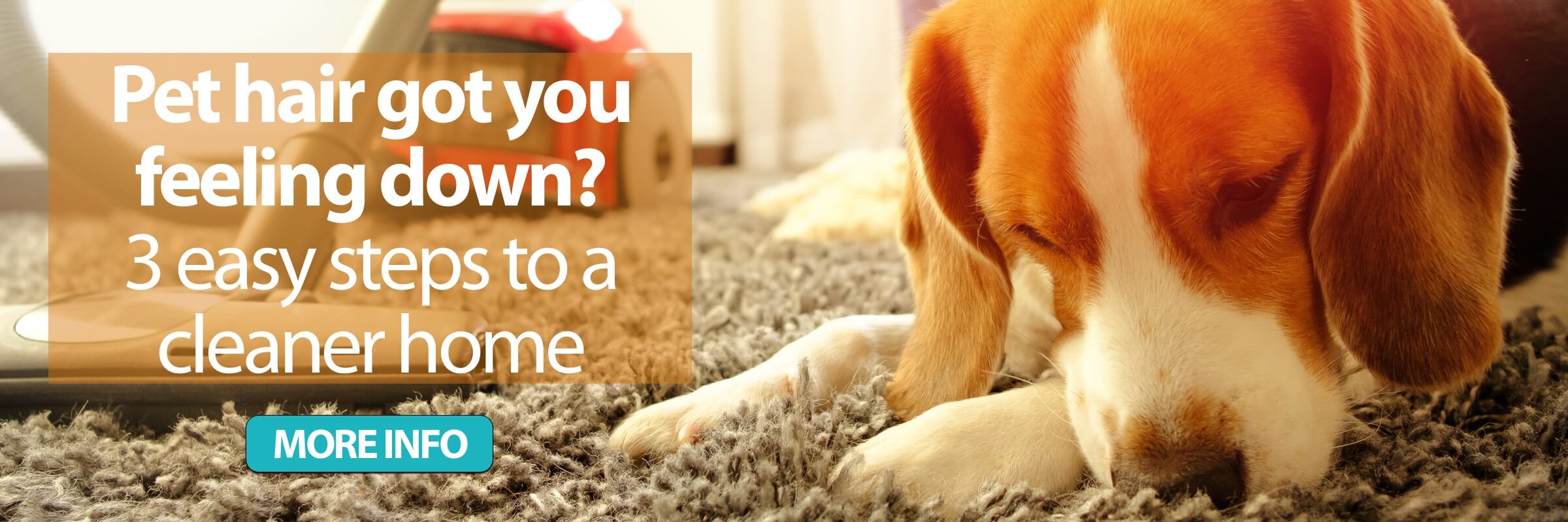 Pet hair got you feeling down 3 easy steps to a cleaner home