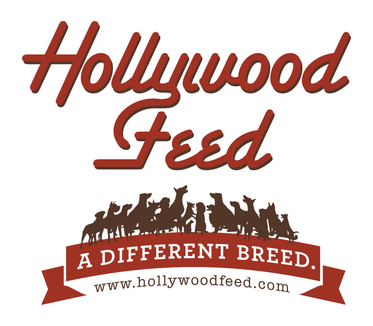 HollywoodFeed Logo