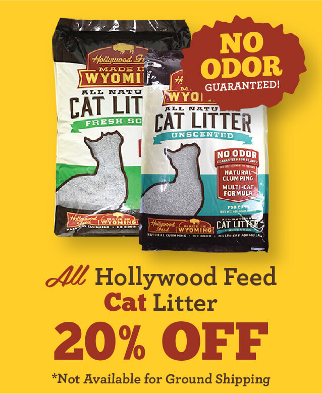 January Specials - All Hollywood Feed Cat Litter for 20 percent of. But not available for ground shipping.
