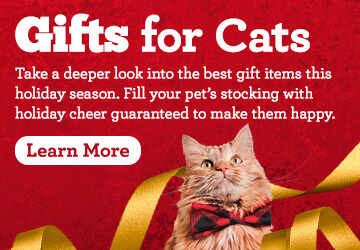 Cat Gift Guide - Gifts for Cats