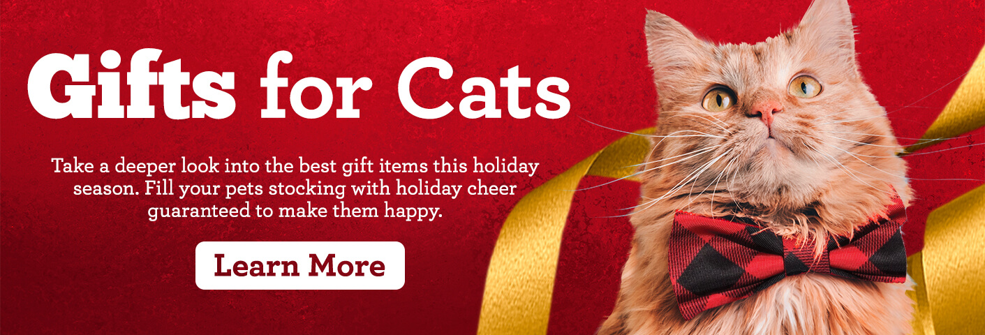 Cat Gift Guide - Gifts for Cats