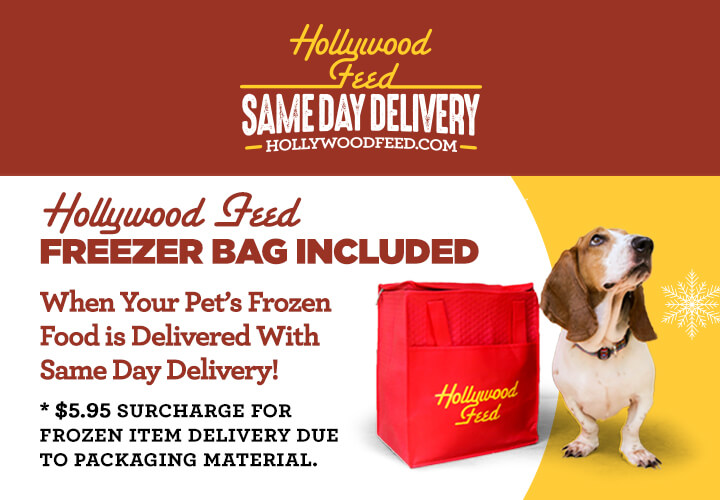 dog with red Hollywood Feed freezer bag. Hollywood Feed delivers Frozen Raw pet food with same day delivery in a freezer bag with an ice pack for $5.95
