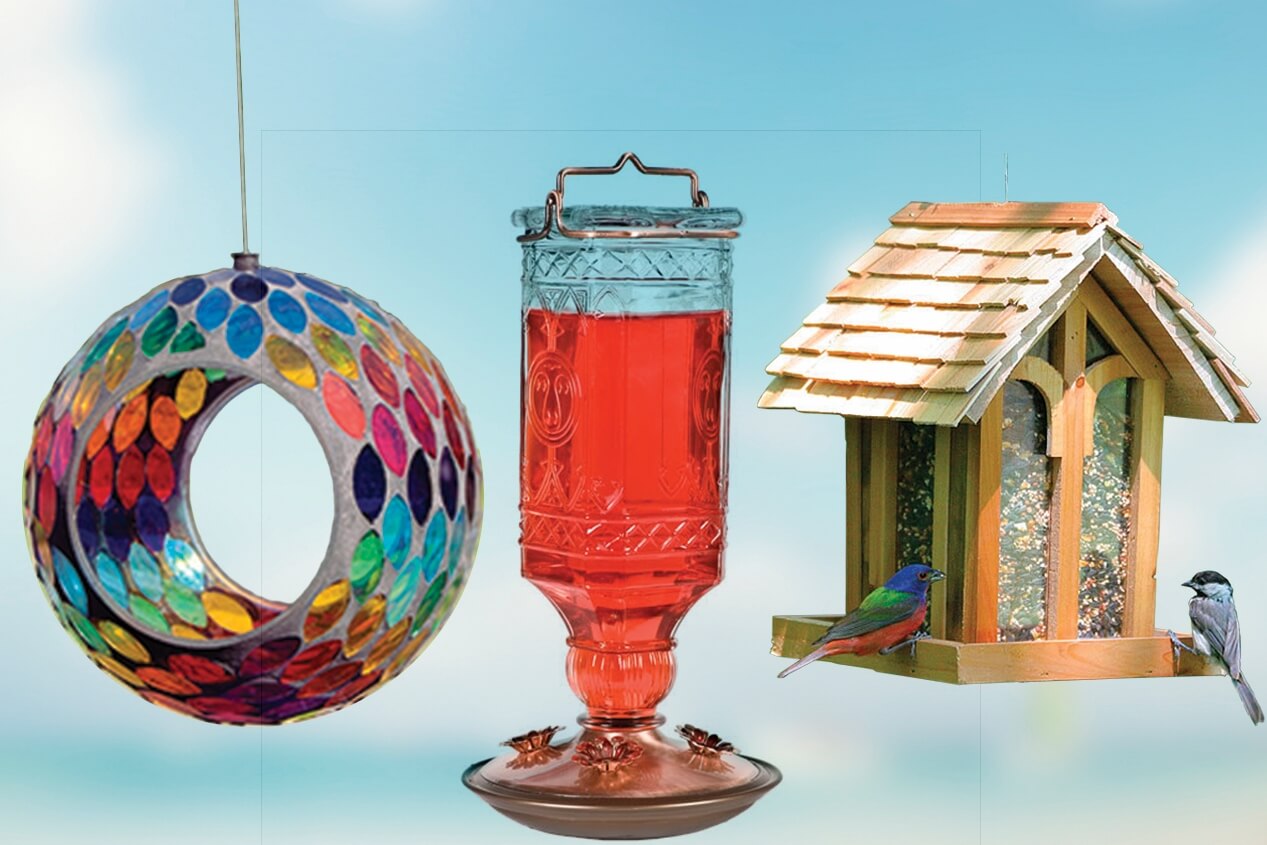 Three different styles of colorful bird feeders