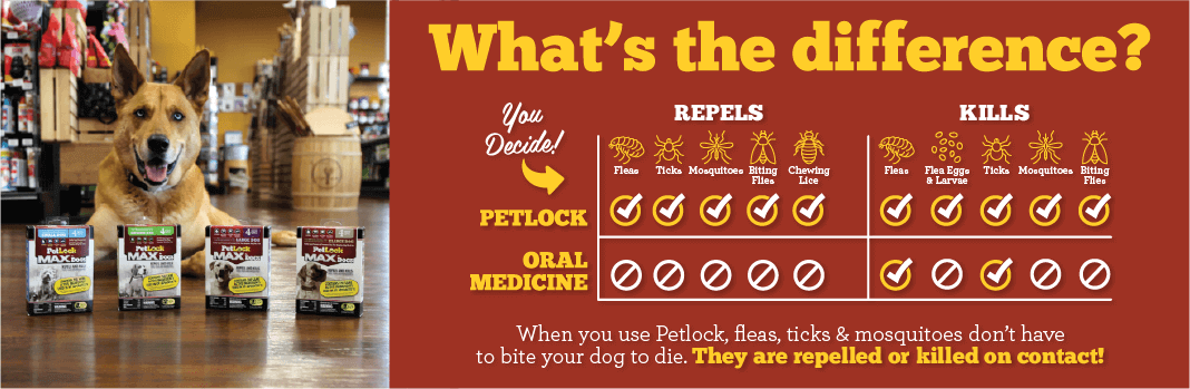 Differences between PetLock and Oral flea Medicine