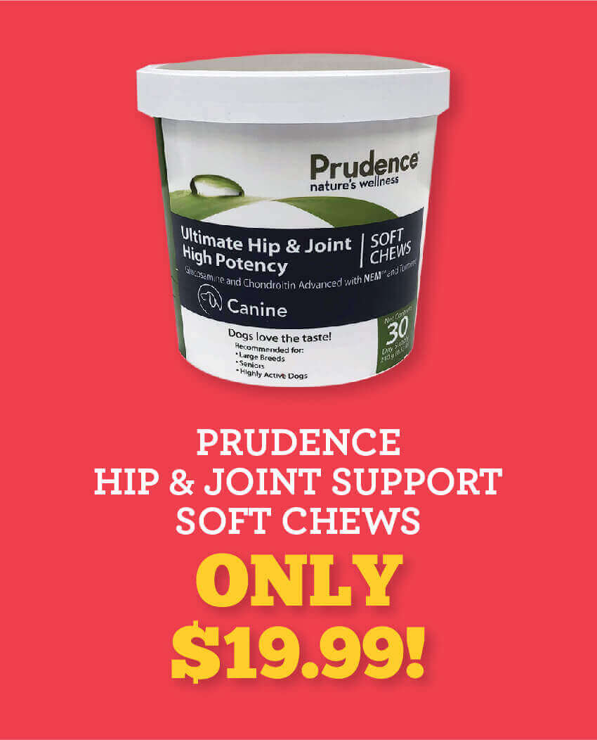 Only  $19.99! PRUDENCE HIP & JOINT SUPPORT SOFT CHEWS