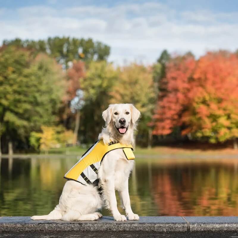 GF Pet - Dog Life Jacket