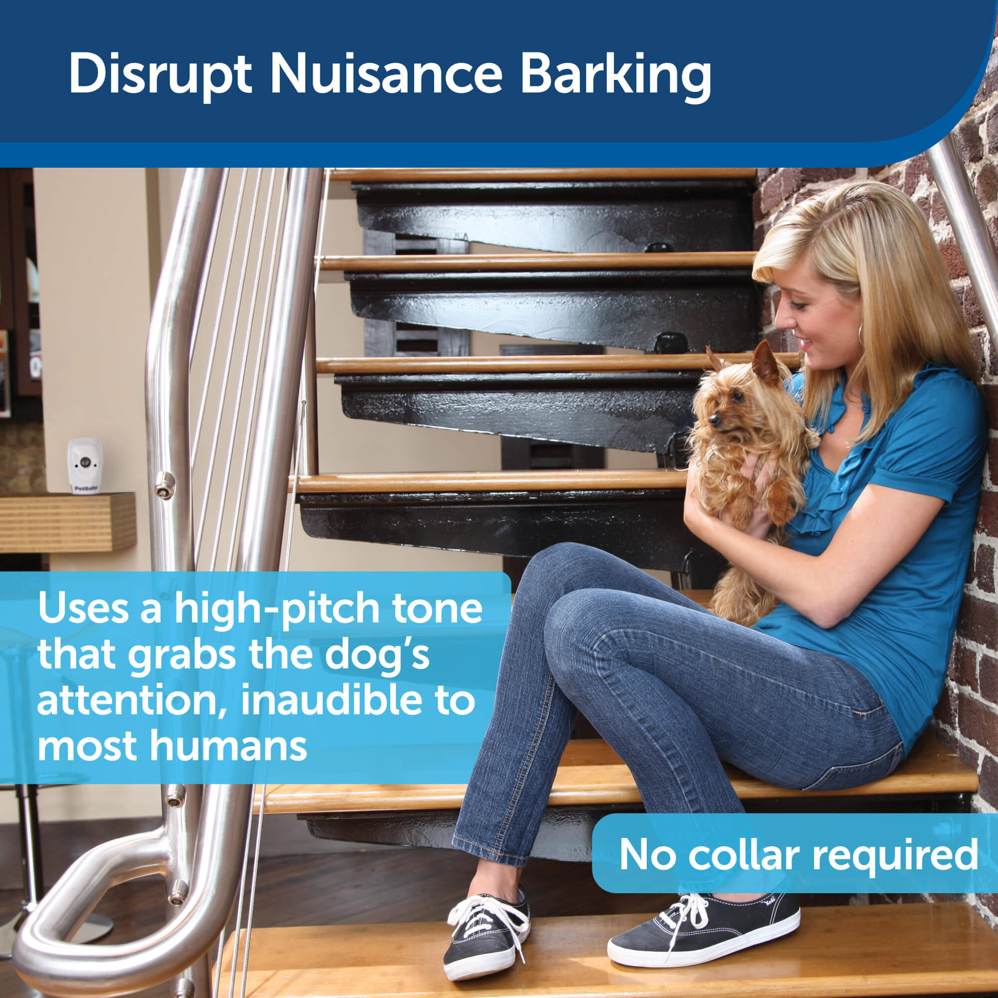 Disrupt nuisance barking
