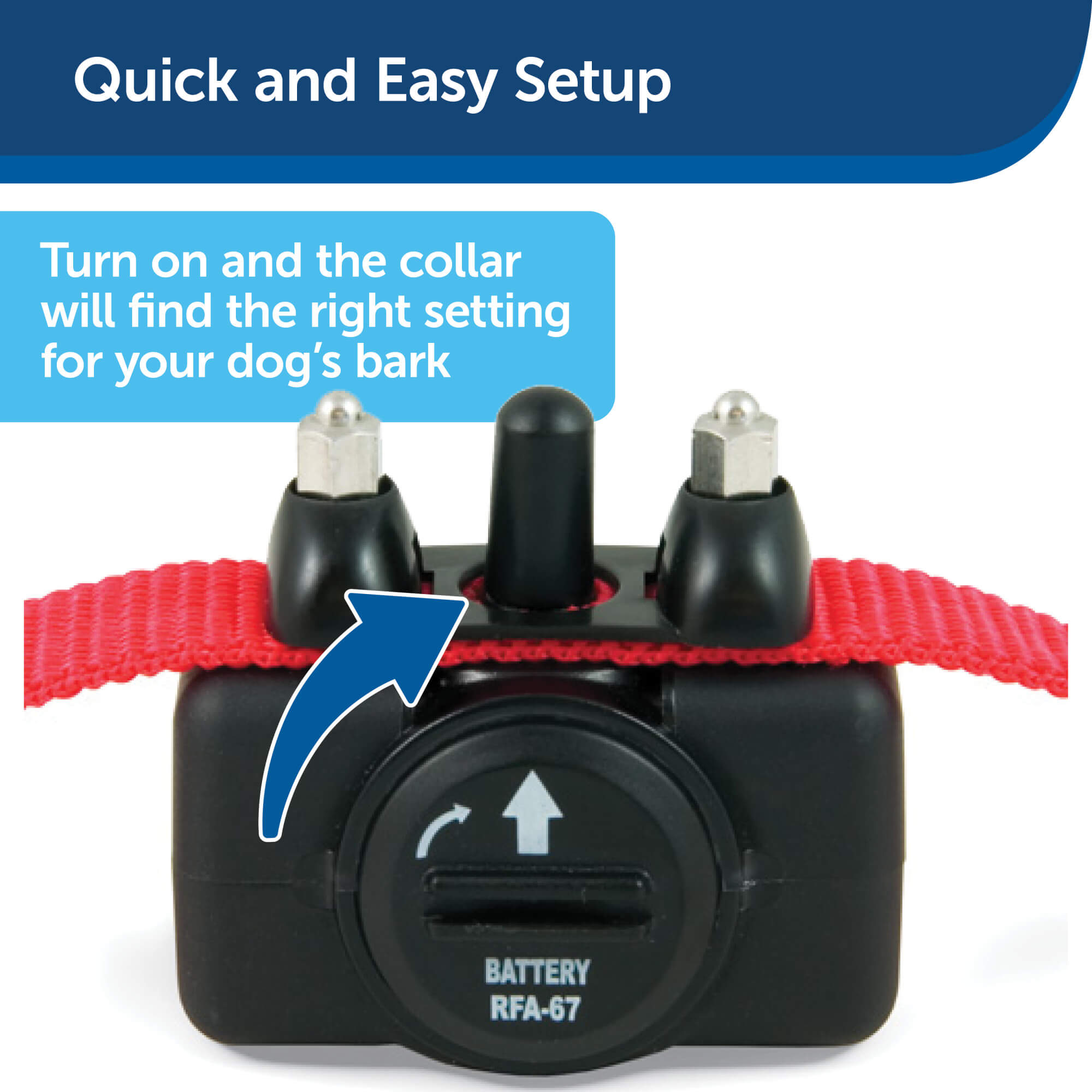 PetSafe Basic Bark Control collar quick easy setup